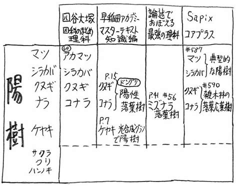 陰樹 陽樹|陰樹の特徴と陽樹の特徴 違いも解説 – 庭師の独り言